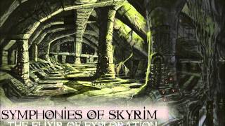 Symphonies Of Skyrim  The Elixir Of Exploration [upl. by Serafine493]