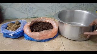 How to Make Mahua For Fishing مہوا بنانے کا طریقہ [upl. by Ayres]