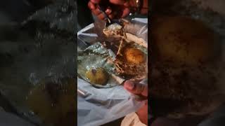 തട്ട് dosa and omelette thattudosa food [upl. by Flodnar]