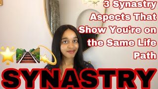 3 Synastry Aspects That Show You’re on the Same Life Path [upl. by Stander]