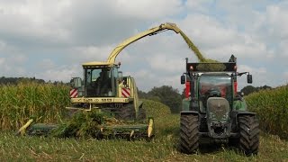 FD CUMA MORBIHAN  Ensilage maïs 2014 CUMA Berricoise Berric [upl. by Notnilc]