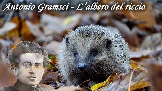 Antonio Gramsci  Lalbero del riccio  Audiolibro completo [upl. by Ing]