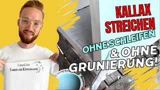 Kallax streichen Ikea Kallax Regal streichen und ohne schleifen lackieren  farbenloewede [upl. by Jewett564]