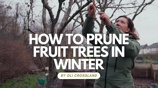 How to Prune Fruit Trees in Winter [upl. by Cleveland]