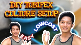 TUBIFEX WORMS CULTURE SETUPeasy and lowcost [upl. by Julis]