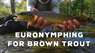 Euro nymphing for Brown Trout [upl. by Pegeen]