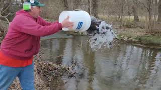 Pennsylvania Trout Stocking Begins Statewide 2023 [upl. by Ayot]