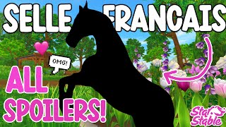 NEXT NEW HORSE BREED SELLE FRANCAIS EVERYTHING YOU NEED TO KNOW STAR STABLE SPOILERS 🐴 [upl. by Letreece145]