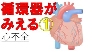 【心不全】これでクリア！心不全の病態と薬物治療の関係 医療系学生必見！ [upl. by Yahsel151]