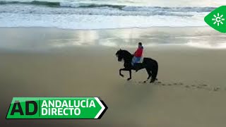 Andalucía Directo  Rutas a caballo que nos descubren la magia de Doñana [upl. by Eveineg]