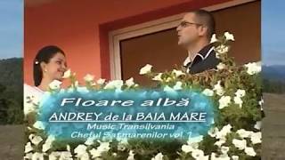 Andrei de la Baia Mare  Floare alba  video [upl. by Ahsinelg]