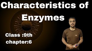 Characteristics Of Enzymes in urdu  Hindi  Class 9th Chapter 6 [upl. by Alil]