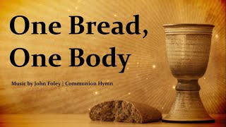 One Bread One Body  Communion Hymn  Catholic Song  John Foley  Choir wLyrics  Sunday 7pm Choir [upl. by Ecidnac]