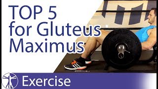 Top 5 Gluteus Maximus Exercises [upl. by Oag]