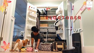 Chill Cleaning amp Front Hall Closet Spruce Up  Vlogtober 5 [upl. by Kolk]