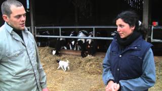 Journée de la femme  le congé maternité dune agricultrice [upl. by Dierdre373]