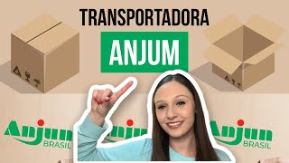 O QUE É ANJUN  APRENDA COMO RASTREAR DIRETAMENTE PELO SITE DA ANJUN  TRANSPORTADORA ANJUN [upl. by Shaner441]