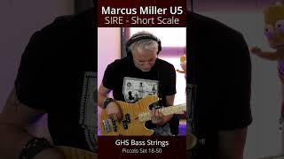 Janusz Frychel  SIRE U5 Marcus Miller Marcus shorts [upl. by Eivol]