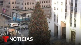 Así luce el árbol de Navidad del Rockefeller Center encendido [upl. by Idou]