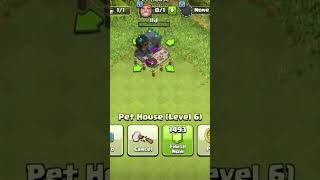 Upgrade pet house level 1 to Max [upl. by Cline]