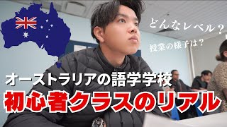 【留学・英語力０】語学学校の初心者クラスの授業ってどんな感じ！？ [upl. by Bridges50]