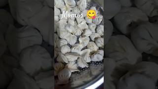 Steamed momos llvegmomos shortvideo viralvideo [upl. by Reteip]