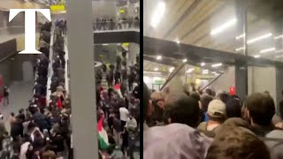 Russian airport stormed by proPalestinian protesters [upl. by Enilraep]