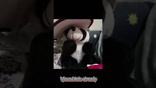 Panda life goals funny vacation panda [upl. by Yentyrb]