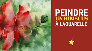 Peindre un hibiscus à laquarelle [upl. by Yelrebma]