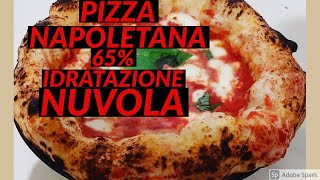 Come fare l’impasto pizza 🍕 Napoletana 65 idratazione con caputo nuvola [upl. by Aisayn]