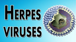 Herpes Symptoms Treatment and Causes [upl. by Elwin445]