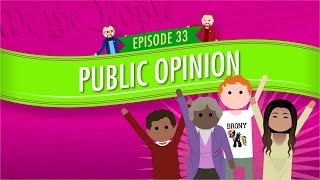 Public Opinion Crash Course Government and Politics 33 [upl. by Derian]