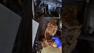 Air filter box Dodge Ram 1500 Hemi 57 L V8 hemi [upl. by Rasec338]