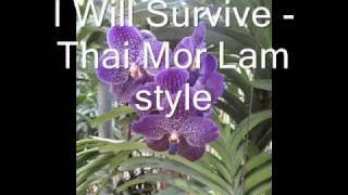 I Will Survive  Thai Mor Lam style [upl. by Jacki]