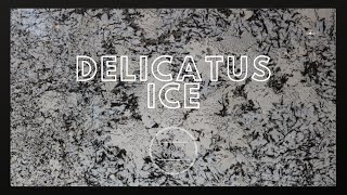 Sensa Delicatus Ice [upl. by Sumner]