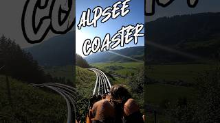 👍 Bist du bereit 😍 für den 😎 Alpsee coaster alpseebergwelt2416  allgäu shorts [upl. by Annadroj]