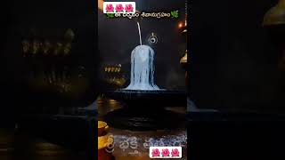 samasth lokalki thandrri shivaya please subscribe friends youtubers 🙏 [upl. by Esoranna608]