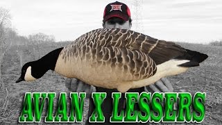 AVIAN X LESSER DECOY REVIEW [upl. by Jandy545]