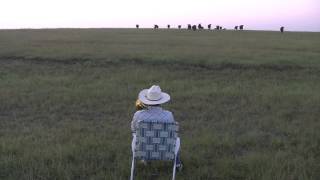 Serenading The Cattle With My Trombone [upl. by Ahsemik]