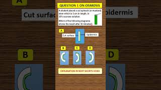 SPM BIOLOGY FORM 4 CHAP 3 Question on MUSTARD BAYAM STEM in hypertonic solution I OSMOSIS kssm [upl. by Apps919]