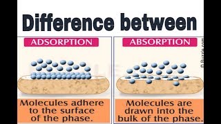 Difference between Adsorption or Absorption what is adsorption or absorption [upl. by Htebazila613]