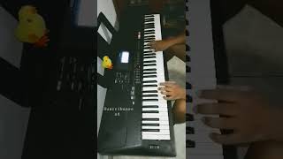 Enfermera cumbia Cover teclado intro [upl. by Wiles]