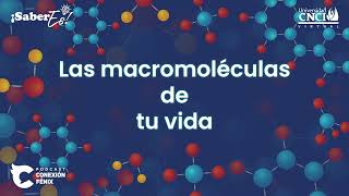 SaberEs  Las macromoléculas de tu vida [upl. by Phillipp]