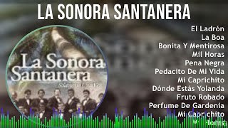 La Sonora Santanera 2024 MIX Grandes Exitos  El Ladrón La Boa Bonita Y Mentirosa Mil Horas [upl. by Martsen]