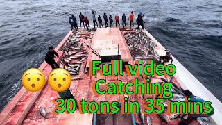 🤩 Full video catching 30 tons of skipjack tuna in 35 mins 🤩🤩 [upl. by Kcirrek]