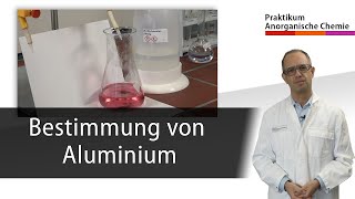 Bestimmung von Aluminium  Praktikum Anorganische Chemie [upl. by Lecram915]