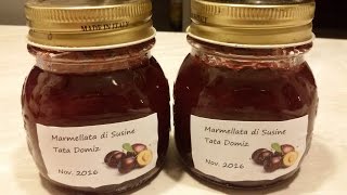 Marmellata di susine con un quotsegretoquot di mia suocera [upl. by Noroj866]