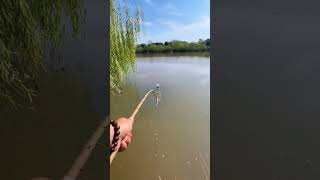 fishing using a drink bottle float fishing shorts [upl. by Eniger826]