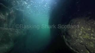 Underwater Fingals Cave [upl. by Meredi464]