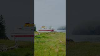 Grand manan islandNew Brunswick ferry travel adventure shorts subscribe video trending trip [upl. by Ettore]